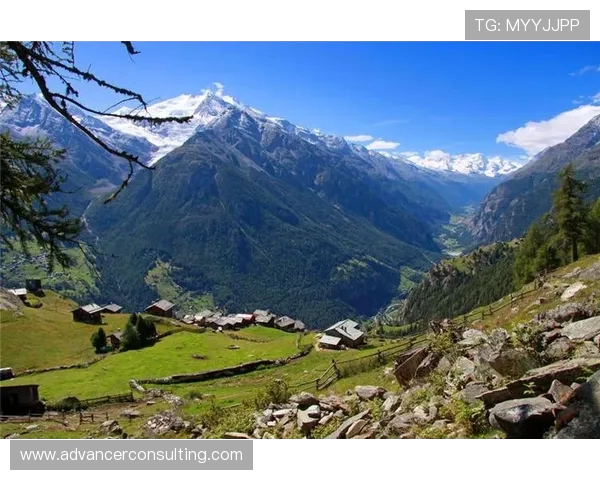 杨秀英亲授攀岩技巧与心得分享助你征服高峰