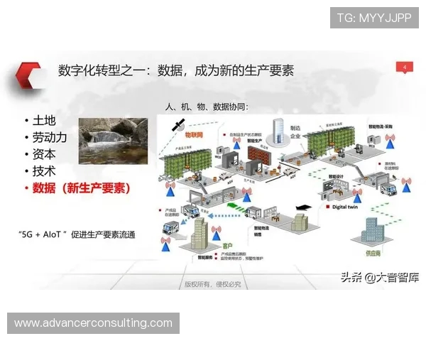 深度分析深圳足球队的运营策略与发展路径探讨