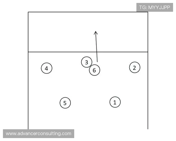 北京排球队进攻战术解析与球员表现的深度剖析
